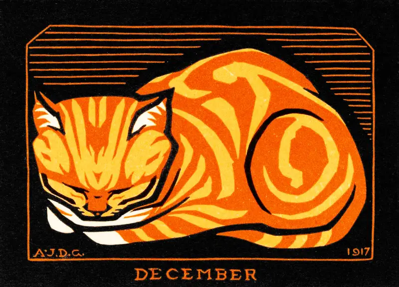 December Cat by Julie de Graag